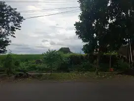 Dijual Tanah Strategis Jalan Glanggang, Pakisaji, Kab Malang