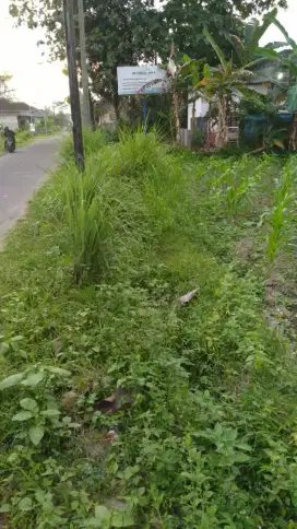 Disewakan tanah Cocok buat villa atau gudang jl palagan km 12 Ngaglik