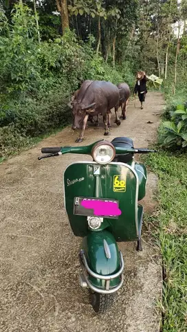 Vespa VBB 1965 / vespa ndhog