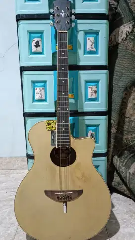 GITAR AKUSTIK APX 500ii CUSTOM