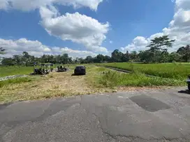 PROSPEK KOST KALIURANG KAMPUS UII: Tanah Jogja SHM