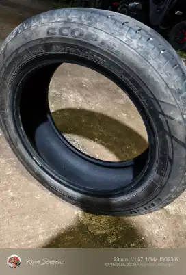 ban Bridgestone Ecopia 195/55 R16