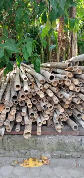 Bambu bekas cor kondisi bagus