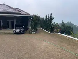 Di jual murah vila mewah LT 1 hektar 3 rb mtr lokasi di cipanas puncak