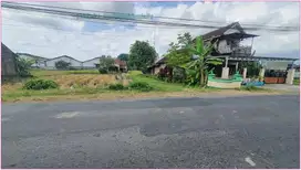 Jual murah Tanah berbah kalasa tepi aspal 3 jutaan