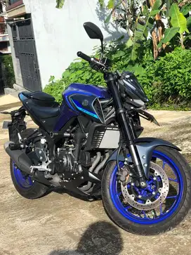 Yamaha MT25 New Facelift