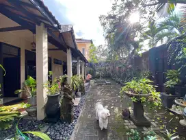 Dijual Rumah Lokasi Stratrgis di Perum Permata Siligita - Benoa.