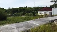 Tanah Sleman: Dijual Pekarangan di Ambarketawang, Milik Pribadi