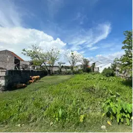 dijual tanah pura demak lokasi strategis