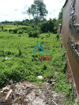 DiJual Tanah / Freehoold Lokasi Padang Tawang Babakan Canggu Badung