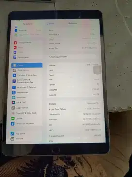 Ipad Pro 10.5 256Gb wifi only (bs tuker tambah hp)