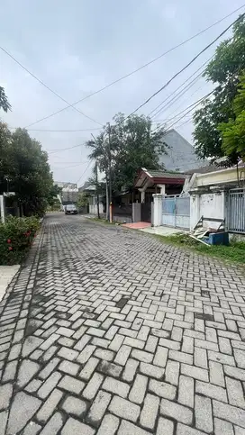 Hit tnh (9x20) di Semolowaru