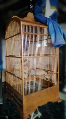 Sangkar Khosan no 3