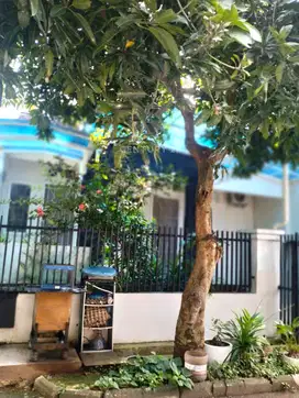 Dijual Rumah Di Permata Bintaro Sektor 9  8023