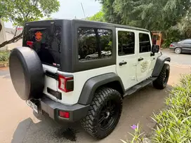 Jeep Wrangler Renegade 2015