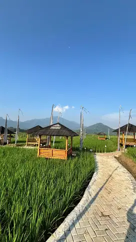 Miliki kavling sawah di bogor timur