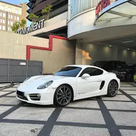 Porsche cayman 981 2014 nik 2013 boxster 718