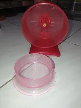 Mainan Lari Kincir Hamster Rolling Jogging Hamster syirian