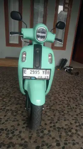Fazzio 2024 neo hybrid