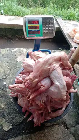 Daging Kelinci Giling Full Daging Pakan Hewan Daging Kelinci Karkas