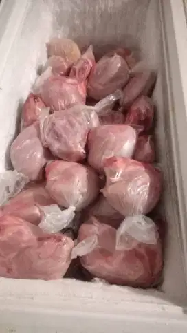 Daging Kelinci Giling Full Daging Pakan Hewan Daging Kelinci