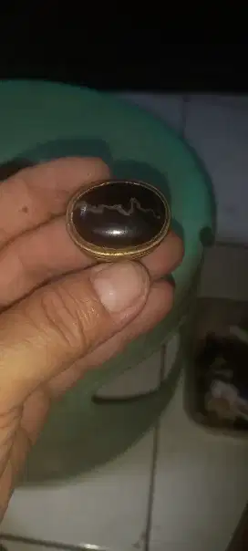 Batu fosil kayu ulin /ebony