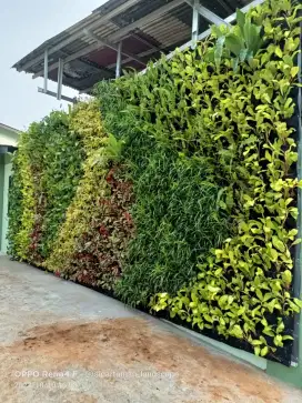 Taman vertical garden-vertical garden-vertical artificial