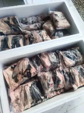 Kuping Kelinci Frozen Belum Dikuliti Daging Kelinci