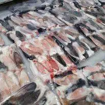 Kuping Kelinci Daging Kelinci Frozen Kuping Kelinci