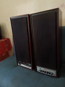 Speaker Bluetooth Roadmaster