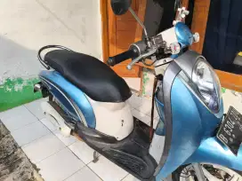 Scoopy karbu 2011 plat hidup