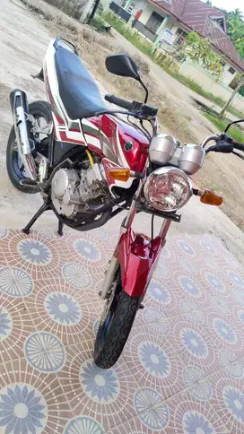 STEKO (Scorpio Tengko Kotak)