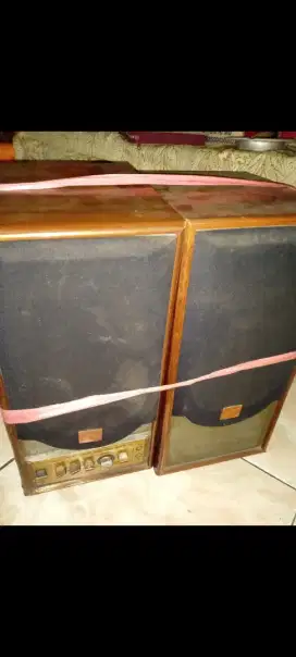speaker active joss