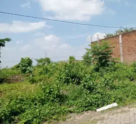 Tanah murah belakang kampus UMM cocok untuk rukos