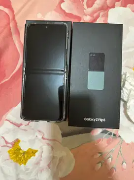 Samsung z flip 5 ex sein