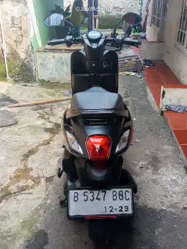 Honda Genio 2024 Siap Gas, Pajak Panjang, Harga Nego!