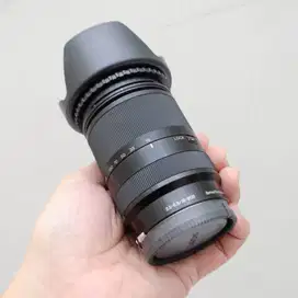 Sony E 18-200mm F/3.5-6.3 OSS LE ciamik