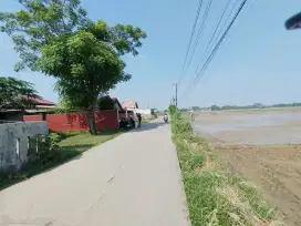 Dijual tanah strategis 6 ha pinggir jl raya cibitung Gabus Tambelang