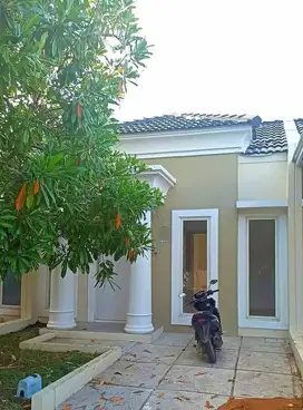 RUMAH MURAH DI TANJUNG BUNGA, DKT TRANS STUDIO MALL