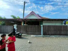 Rumah Kelurahan Balongmacekan Kecamatan Tarik Kabupaten Sidoarjo