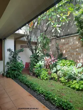 Rumah asri dan luas, posisi di hook depan taman di Rempoa Jaksel