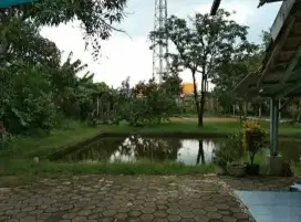 Driver pribadi atau perusahaan