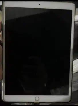 Ipad Pro 10.5 Wifi Celluler