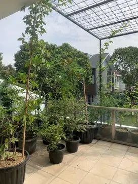 Rumah murah minimalis modern batununggal kota Bandung