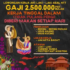 KENNEL BOY SERABUTAN ASAL NTT