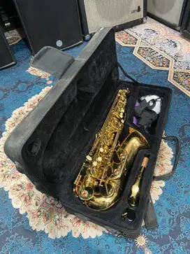 Saxophone Alto Paladin include Case