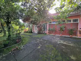 [ Murah jual Cepat] Rumah Asri Halaman Luas Cinere Estate
