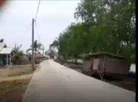 Jual tnh tambak 5ha Rp.69.500/m Ds P.sederhana, muàra gembong, Bekasi