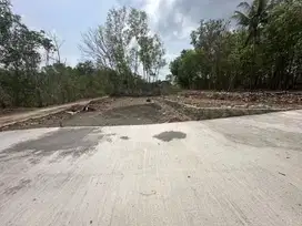 Tanah Pekarangan Kavling Murah di Kasihan Bantul TP 010