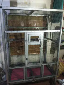 Kandang koloni love bird atau ternak murai
